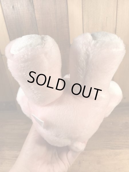 ケナー社製のケアベアの80’sヴィンテージプラッシュドール