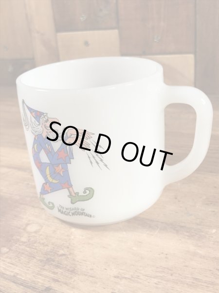 フェデラル社製のマジックマウンテンの70〜80’sヴィンテージマグ