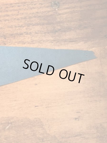 アドバタイジングキャラクターのマジックマウンテンの70年代ビンテージペナント