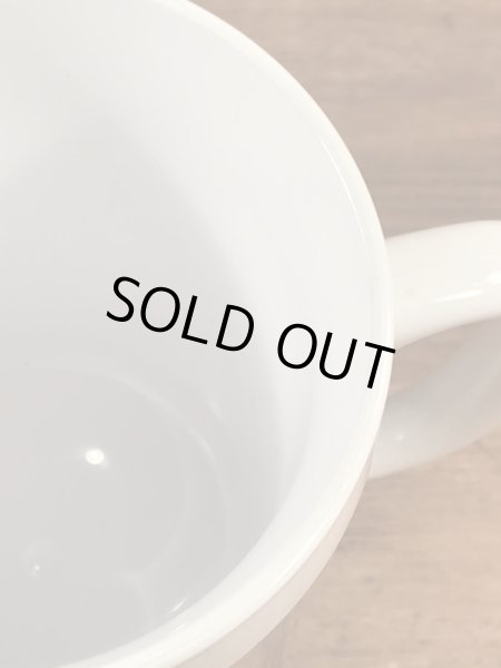 アドバタイジングキャラクターのレイドバグの70’sヴィンテージサーモスマグ