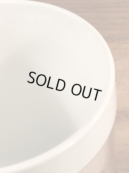 アドバタイジングキャラクターのレイドバグの70’sヴィンテージサーモスマグ