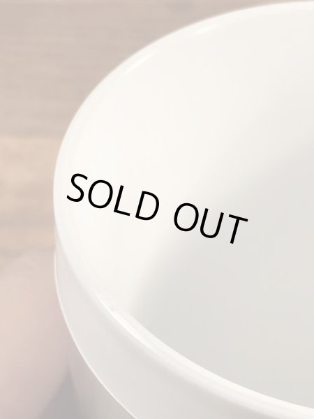 企業キャラクターのレイドバグの70年代ビンテージプラスチックマグ