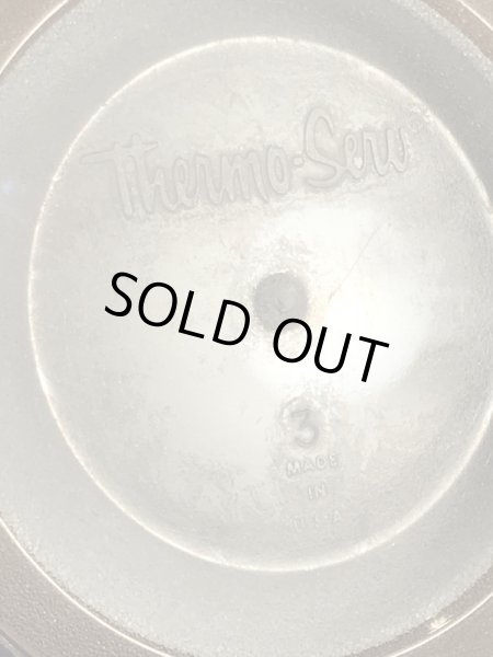 アドバタイジングキャラクターのレイドバグの70’sヴィンテージサーモスマグ