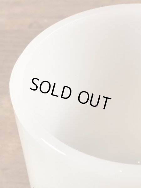 グラスベイク社製のレイドバグのようなプリントのミルクガラス製ビンテージマグカップ