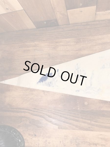 ワーナーブラザーズのルーニーテューンズの70年代ビンテージペナント