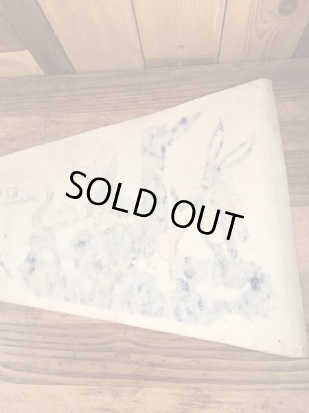 バッグスバニーやトゥイーティーが描かれたルーニーテューンズの70’sヴィンテージペナント