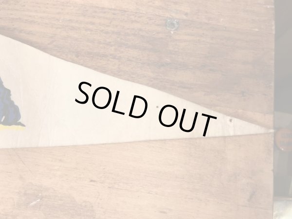 バッグスバニーやトゥイーティーが描かれたルーニーテューンズの70’sヴィンテージペナント