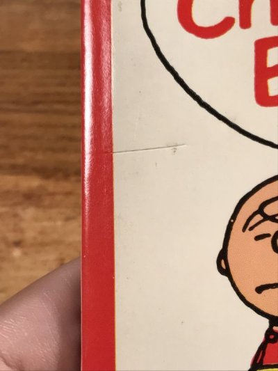 画像1: Snoopy Peanuts Gang “You're My Hero,Charlie Brown!” Comic Book　スヌーピー　ビンテージ　コミックブック　漫画本　70年代