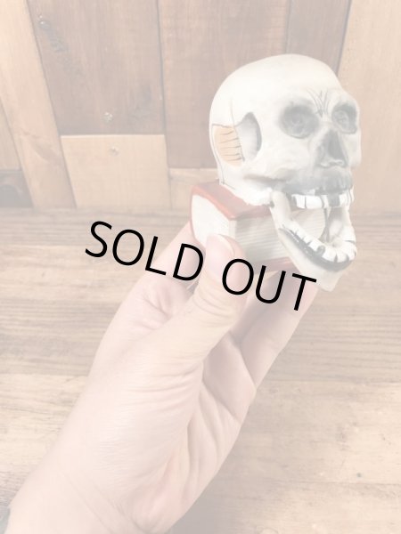 陶器製のスカルオンブックのヴィンテージマッチホルダー