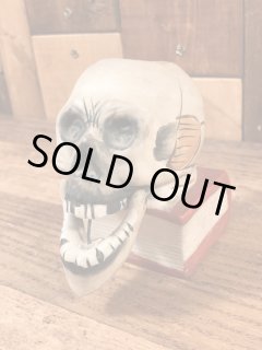 Skull、Poison Bottle(スカル、ポイズンボトル)系 - STIMPY
