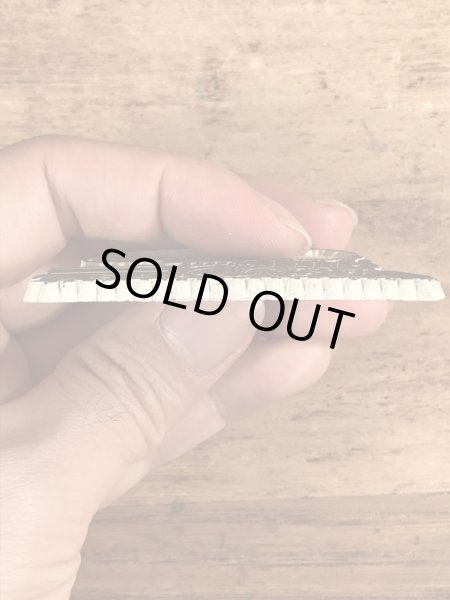 80年代頃のスーベニア物のヴィンテージラバーマグネット