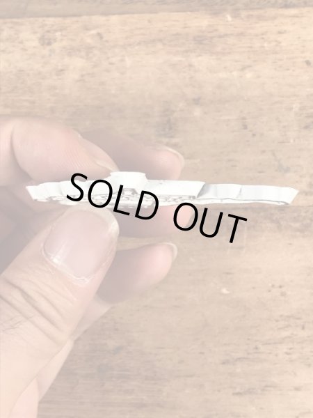 80年代頃のスーベニア物のヴィンテージラバーマグネット