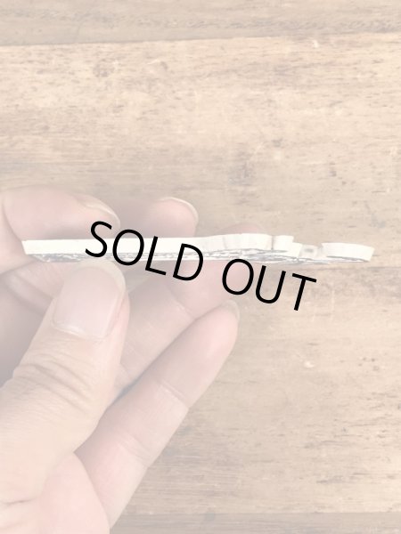 90年代頃のスーベニア物のヴィンテージラバーマグネット