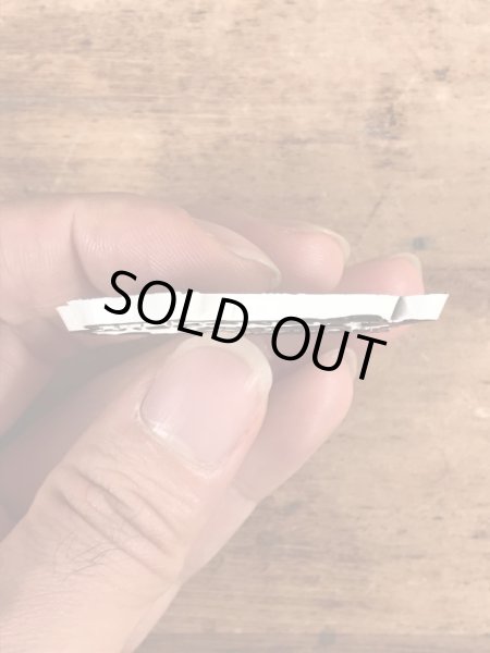 90年代頃のスーベニア物のヴィンテージラバーマグネット