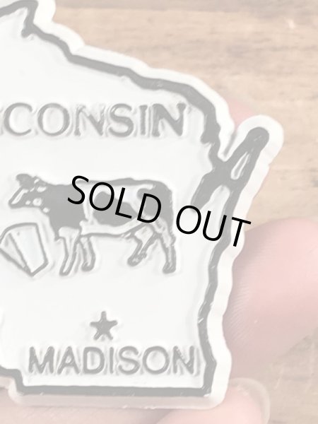 90年代頃のスーベニア物のヴィンテージラバーマグネット