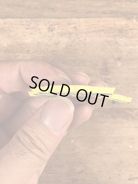 80年代頃のスーベニア物のヴィンテージラバーマグネット