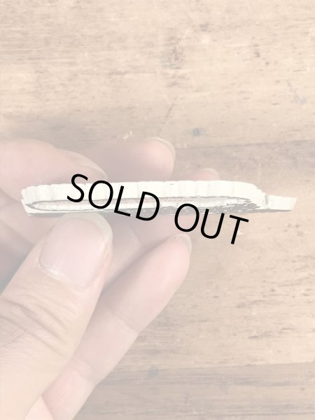 80年代頃のスーベニア物のヴィンテージラバーマグネット