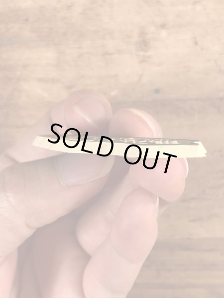 90年代頃のスーベニア物のヴィンテージラバーマグネット