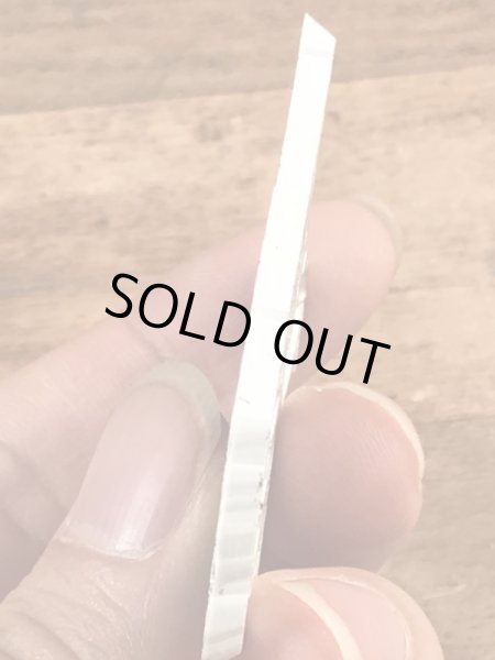 80年代頃のスーベニア物のヴィンテージラバーマグネット