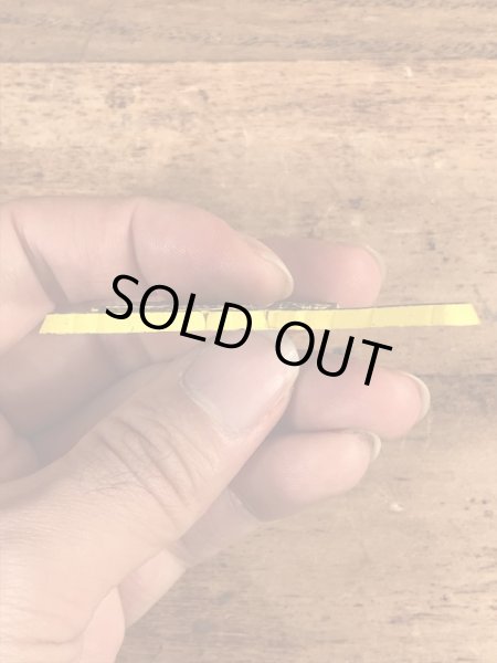 80年代頃のスーベニア物のヴィンテージラバーマグネット