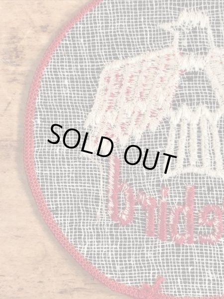 70’s〜頃のアメ車のファイヤーバードのヴィンテージのワッペン