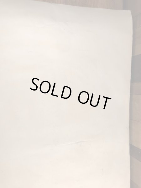 ー70年代頃のエッシャーのドラゴンのヴィンテージのポスター