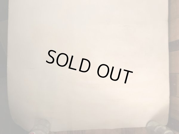 ー70年代頃のエッシャーのドラゴンのヴィンテージのポスター