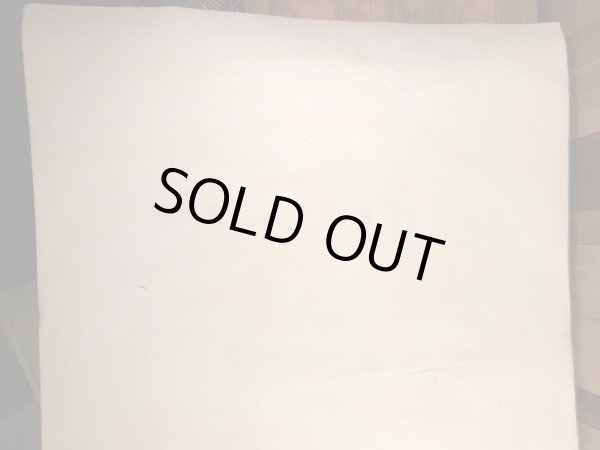 70年代頃のMCエッシャーのビンテージポスター