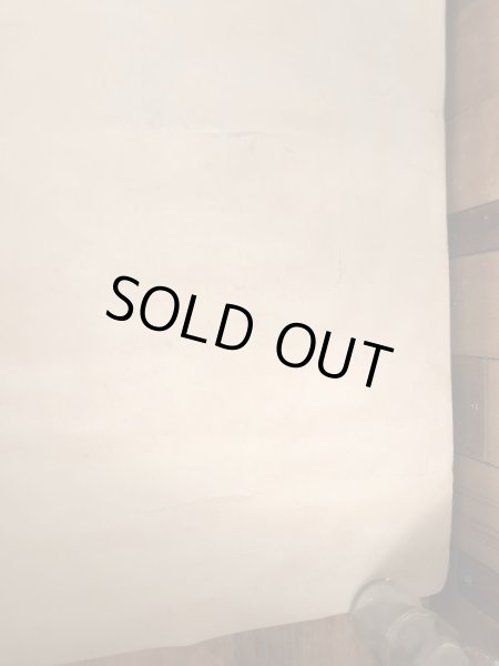 ー70年代頃のエッシャーのドラゴンのヴィンテージのポスター