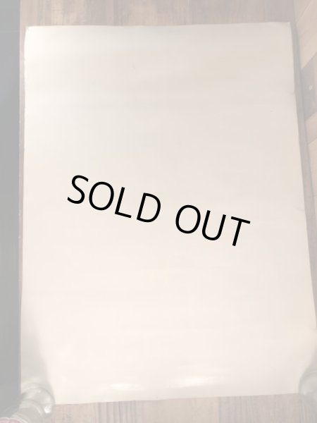 70年代頃のディズニーのビッグアルのヴィンテージのポスター