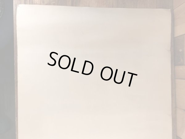 70年代頃のディズニーのビッグアルのヴィンテージのポスター