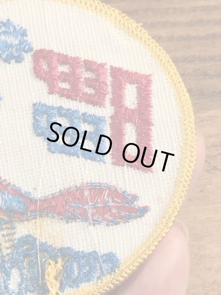 70年代頃のルーニーテューンズのロードランナーのビンテージの刺繡ワッペン