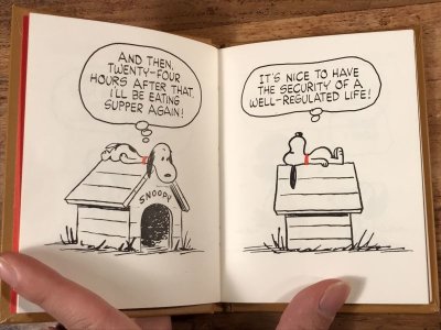 画像1: Hallmark Peanuts Snoopy “More Peanuts Philosophers” Mini Picture Book Set　スヌーピー　ビンテージ　絵本セット　ピーナッツギャング　70年代