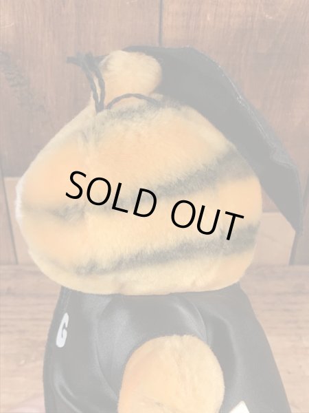 80年代頃の卒業のガーフィールドのビンテージのぬいぐるみ