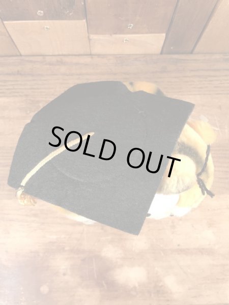 80年代頃の卒業のガーフィールドのビンテージのぬいぐるみ