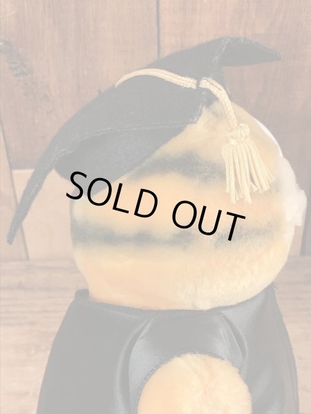 80年代頃の卒業のガーフィールドのビンテージのぬいぐるみ