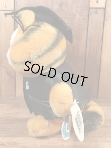 80’sの卒業のガーフィールドのヴィンテージのプラッシュドール