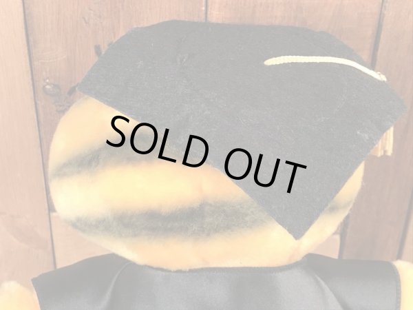 80年代頃の卒業のガーフィールドのビンテージのぬいぐるみ