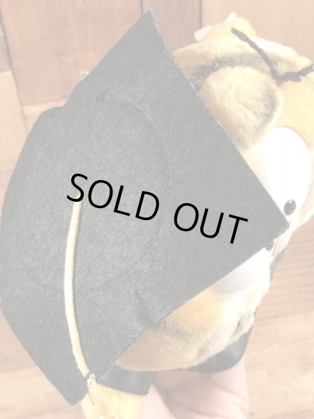 80年代頃の卒業のガーフィールドのビンテージのぬいぐるみ