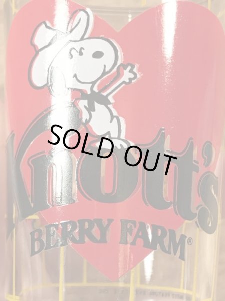 80年代頃のナッツベリーファームのスヌーピーのビンテージのグラス