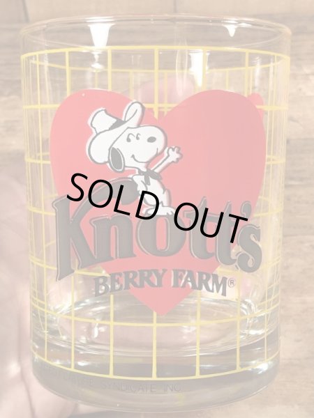 80年代頃のナッツベリーファームのスヌーピーのビンテージのグラスコップ