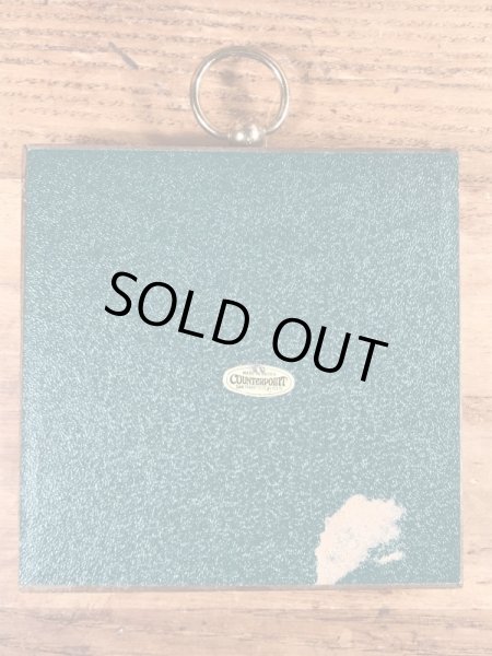 70’sのスヌーピーのヴィンテージの壁掛けアート