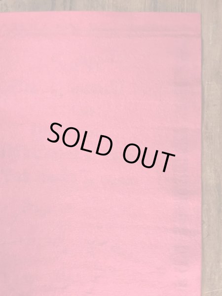 70’sのスヌーピーのチャーリーブラウンのヴィンテージのタペストリー