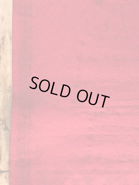 70’sのスヌーピーのヴィンテージのタペストリー