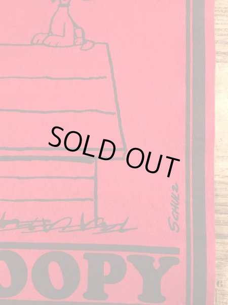 70’sのスヌーピーのヴィンテージのタペストリー