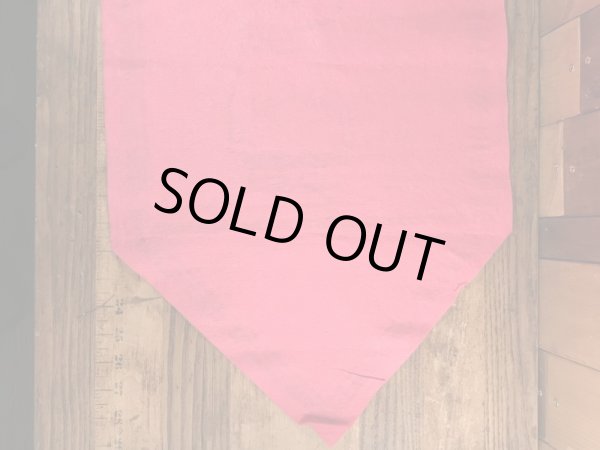 70’sのスヌーピーのチャーリーブラウンのヴィンテージのタペストリー