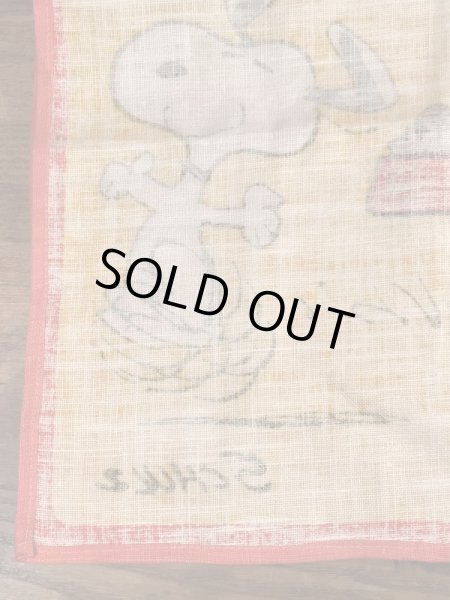 70〜80’sのスヌーピーとチャーリーブラウンのヴィンテージのタペストリー