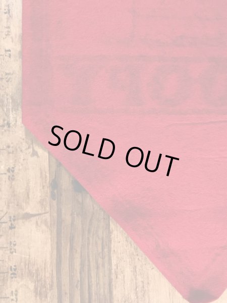 70’sのスヌーピーのヴィンテージのタペストリー