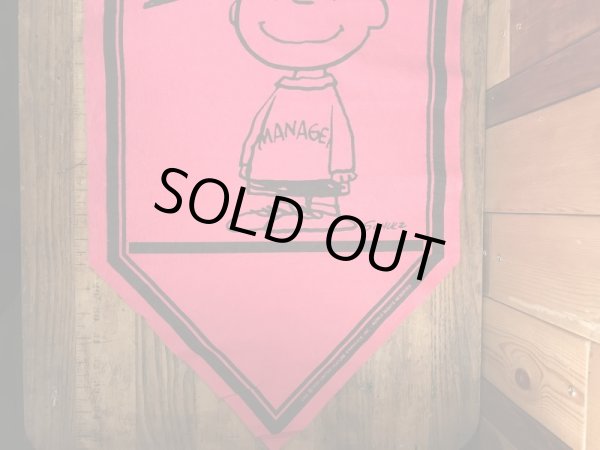 70’sのスヌーピーのチャーリーブラウンのヴィンテージのタペストリー