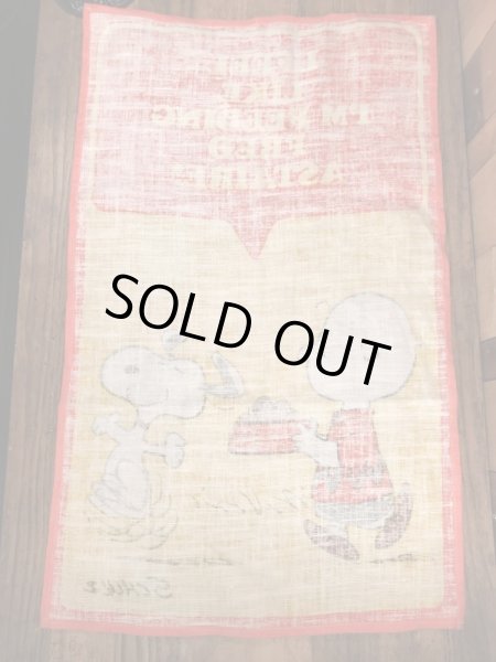 70〜80’sのスヌーピーとチャーリーブラウンのヴィンテージのタペストリー